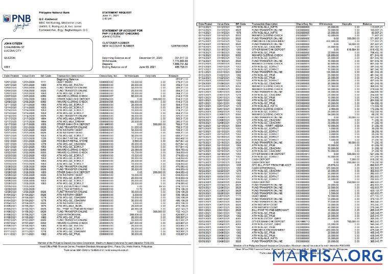 Realistic Philippines PNB bank statement word real example